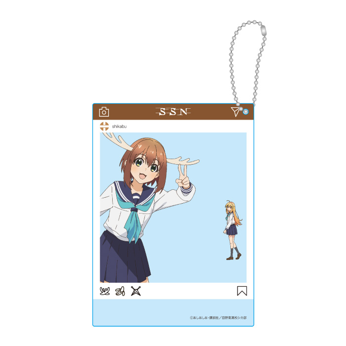 しかのこのこのここしたんたん アクリルカード のこたん&こしたん