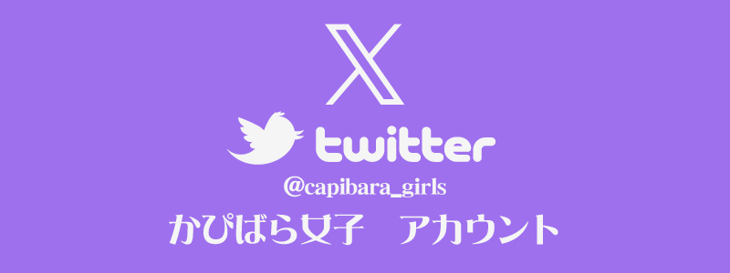 かぴばらくじサイト